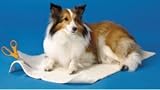 Midwest Sheepskin Pad (Cut to Fit) with Non-Slip Rubber Backing fits 18 & 22L Crates