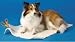 Midwest Sheepskin Pad (Cut to Fit) with Non-Slip Rubber Backing fits 18 & 22