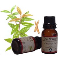 シナモン10ml／スパイス系アロマオイル