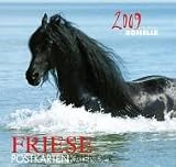 Produkt-Bild: Friesen, Postkartenkalender 2009