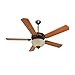 Craftmade K10650, Pro Builder 208 C208OB Ceiling Fan in Oiled Bronze with 52" Contractor Standard Cherry Blades and Amber Frost Light Kit