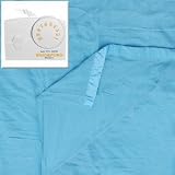 Biddeford Blankets Twin Heated Blanket with Analog Controller, Sky Blue