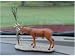Bishop Hunting Bobble Buck Bobblehead Figurine