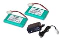 Two Tenergy 9.6V 2300mAh NiMH High Capacity Battery Pack for RC Car, Robots, Security with Simple Pack Charger