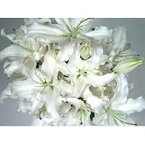 Parade of White Sympathy Lilies