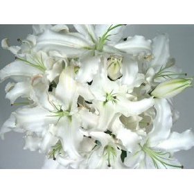 Parade of White Lilies - Guaranteed Delivery by Mother's Day if you Select "Expedited Shipping" at checkout; "Standard Shipping" will guarantee delivery by Wednesday of next week (5/14/2008)