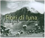 Fiori di luna. La vegetazione afroalpina del Ruwenzori.