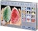 Space Age Crystals Growing Kit