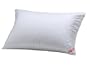 Aller Ease Cotton Allergy Pillow, Queen