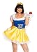 Plus Size Costume: Storybook Princess