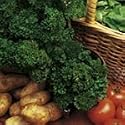 SUTTONS SEEDS: Parsley Favorit Seeds (1,200 seeds)