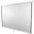 HDTV Rollo Leinwand f�r Beamer Heimkino 203 x 203 cm 1:1 16:9 4:3