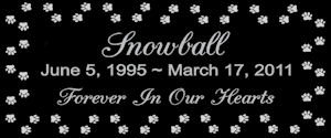 6 x 3 Lazer Gifts Personalized Black Granite Pet Memorial Marker Style Snowball