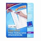 Avery 5160 Laser Labels IN Bulk Pack . 250 Sheet Pack by Avery