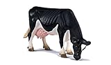Eigenschaften Schleich 13141 / Schleich 13141 - Kuh schwarzbunt - grasend