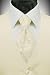 Ivory Solid Satin Vest with Coordinating Tapestry Tie