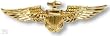 Goldgl�nzendes Piloten Abzeichen