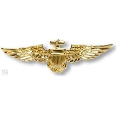 Goldgl�nzendes Piloten Abzeichen