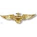 Goldgl�nzendes Piloten Abzeichen