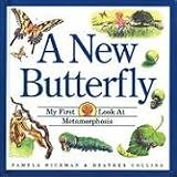 A New Butterfly : My First Look at Metamorphosis (My First Look at Nature)