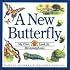 A New Butterfly : My First Look at Metamorphosis (My First Look at Nature)