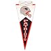 New England Patriots Classic Pennant
