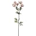 32" Handwrapped Silk Astrantia Flower Spray -Pink/Cerise (case of 12)