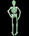 5' Glow in the Dark Skeleton Bones Halloween Decoration