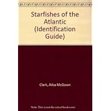 starfishes of the atlantic fish and fisheries series