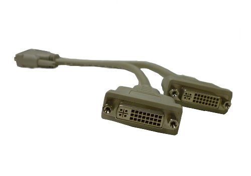 DVI-D Splitter Cable - 12 Inches - 1 x DVI Male 