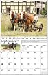 2011 Draft Horse Calendar - Mischka