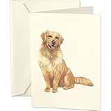 Golden Retriever Dog Notes