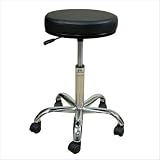 Professional Stool with Footrest Color: Coal