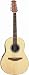 Ovation Applause Series AE35 12 String Acoustic Electric Guitar, Natural