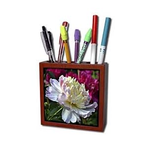 WhiteOak Photography Floral Prints - Soft Pink and Yellow Peony Flower - Tile Pen Holders-5 inch tile pen holder