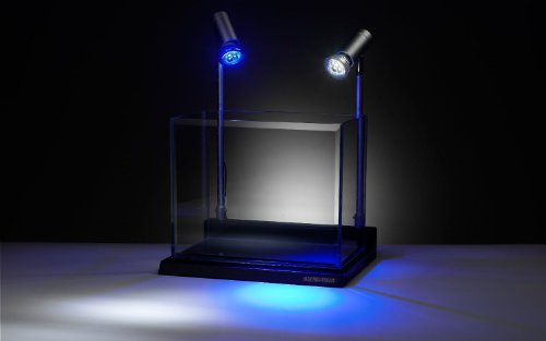 Schuber Wright Crustacean Star Blue Rimless Aquarium, 4-Gallon