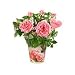 Topfrose Tausend Dank
