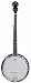 J. Reynolds JR900 5-String Banjo