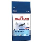 Royal Canin MAXI Junior 32
