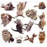Cat Group Mouse Pad