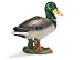 Buy Toys - Drake from Schleich Toys