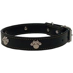Leder Hundehalsband Halsband Metallaplikationen schwarz