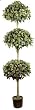 6' Triple Ball Artificial Coffee Leaf Tree
