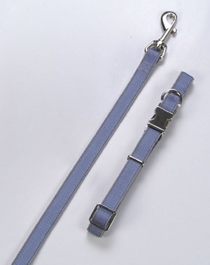 Set Hundeleine und Halsband reflektierend grau, 25mm