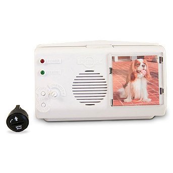 pets smart grooming:Smart Pet Doorbell - Frontgate