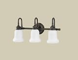 Hudson Valley 3803-SN Plymouth Bathroom Light