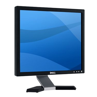 Dell E177FP - Flat panel display - TFT - 17 - 1280 x 1024 - 300 cd/m2 - 450:1 - 8 ms - 0.264 mm - VGA