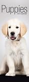 Puppies 2012 Calendar With 2012 to 2013 Minigrid
