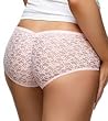 Warners The End Lace Hipster 5744