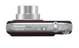 Panasonic Lumix DMC-FX33T 8.1MP Digital Camera with 3.6x Wide Angle MEGA Optical Image Stabilized Zoom (Brown)